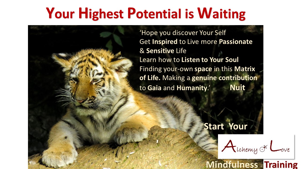 Mindfulness training self development blessing